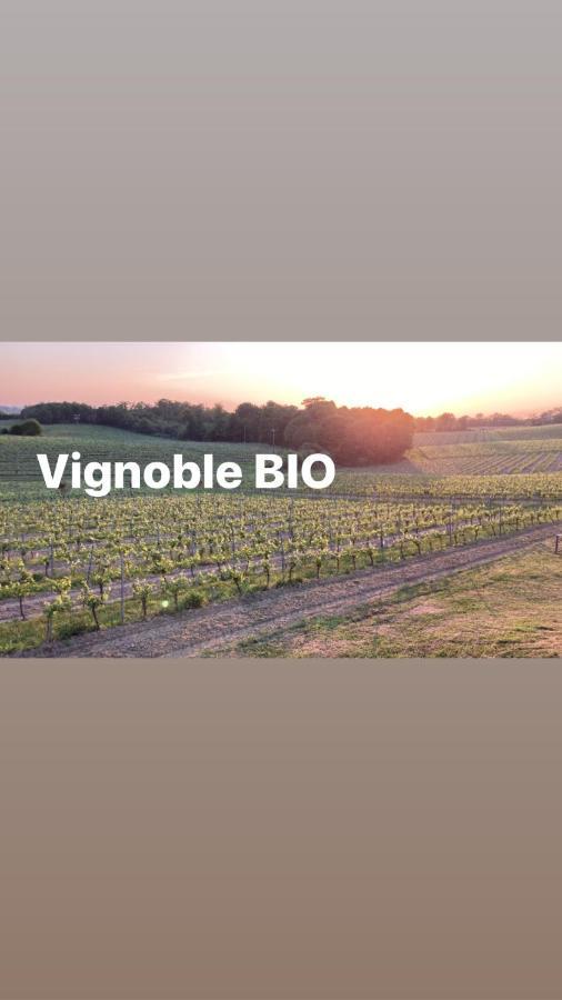 Gite Les Vignes Cravenceres Dış mekan fotoğraf