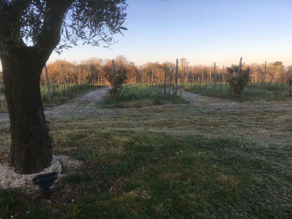 Gite Les Vignes Cravenceres Dış mekan fotoğraf